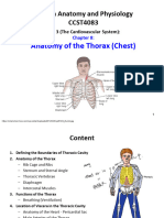 8 Anatomy of Thorax PDF