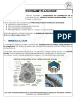 Membrane Plasmique