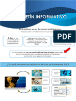 Boletín Informativo PEA PBI 17-06