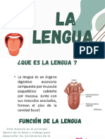 LENGUA