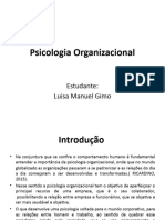 Psicologia Organizacional