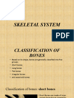 Skeletal System