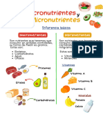 Micronutrientes y Macronutrientes