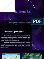 Salmonella - Proiect Biologie