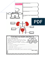 Repaso Imagenes 1ra Unidad 2024 - 062529