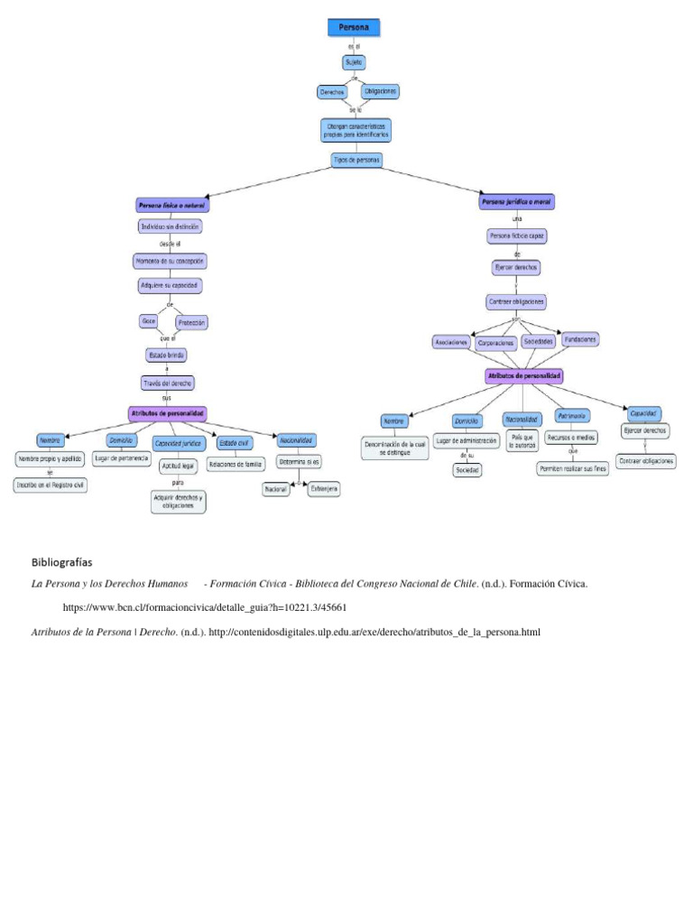 Mapa Conceptual Persona y Sus Atributos | PDF