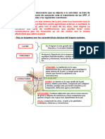 Caso Practico 2 MF 117