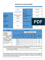 Informe Diciembre 2020 Cileny