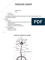 Histo SSP (Neuro 1)