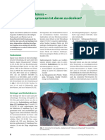 Equine Grass Sickness - Bei Welchen Symptomen Ist Daran Zu Denken