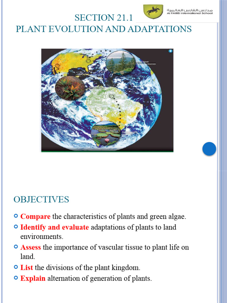 Plant Evolution and Adaptations | PDF | Spore | Plants