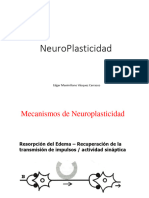 1 Neuroplasticidad