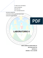 Laboratorio Ii