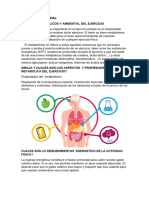 CUESTIONARIO 4 Educacion Fisica