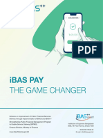 iBAS Pay Report
