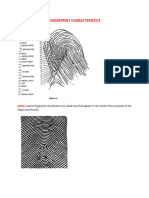 Fingerprint Characteristics Study Guide