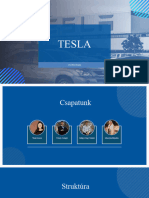 Marketing Tesla 2. Bemutató 1