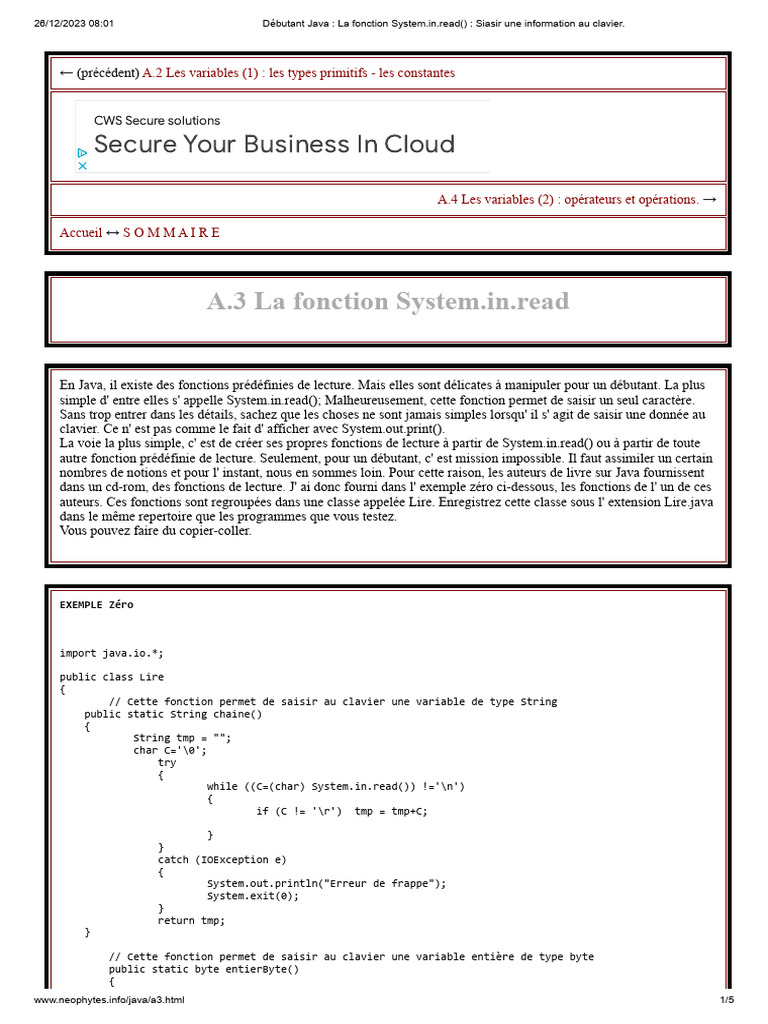Saisir des données en Java avec System.in | PDF | Java (Langage de ...