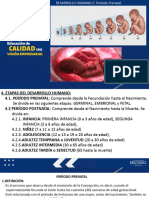 Desarrollo Humano 2-Prenatal IV B 2023