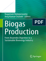Biogas Production 2020