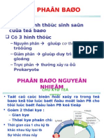 Su Phan Bao