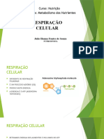 Respiração Celular: Curso: Nutrição Disciplina: Metabolismo Dos Nutrientes