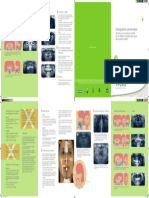 Brochure Radiographie Panoramique