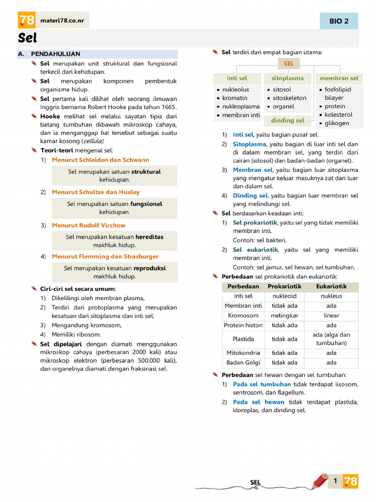Sel Bio2 4 | PDF