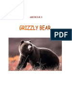 Ang Cla Grizzly Bear 01