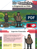 CL Cs 1685737300 PPT Pueblo Mapuche Pueblos Originarios de Chile - Ver - 2