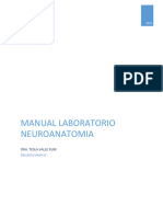 Practica Laboratorio Neuroanatomía Tema Neurona