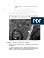 Boujamaa Mohamed Lamia Fg01 Tarea