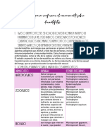 Preguntas para Reafirmar El Conocimiento Sobre Dermatofitos y Superficiales