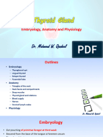 Thyroid Gland: Embryology, Anatomy and Physiology