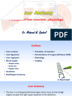 Liver Anatomy: Principles of Liver Resection, Physiology