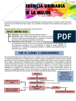 Incontinencia Urinaria Resumen