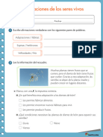 2º Adaptaciones de Los Seres Vivos