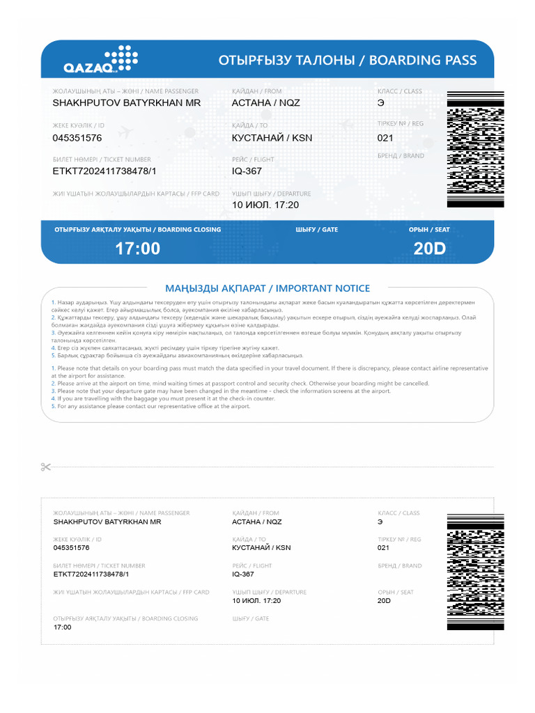 Boarding Pass | PDF