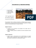 La Deforestacion en La Region Espinal 2