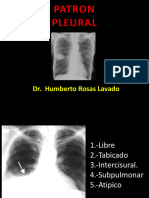 Patron Pleural 2024.