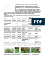 2020 Fiche II 8 Legumes Feuilles