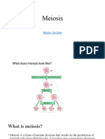 Meiosis