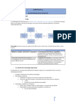 CAPÍTULO 3 La Estrategia de La Empresa