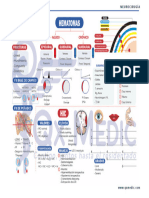 Mapas Mentales - Neurocirugía