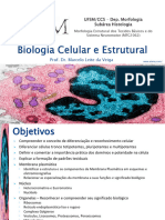 MED 01 Biologia Celular e Estrutural 2023b