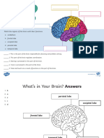 Us S 21 Whats in Your Brain Activity - Ver - 5