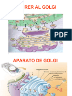 Sistemas Membranosos 2021