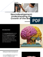 Neurodevelopment Understanding The Growth of The Brain