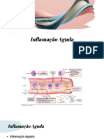 Aula 6 Inflamação Aguda e Cronica