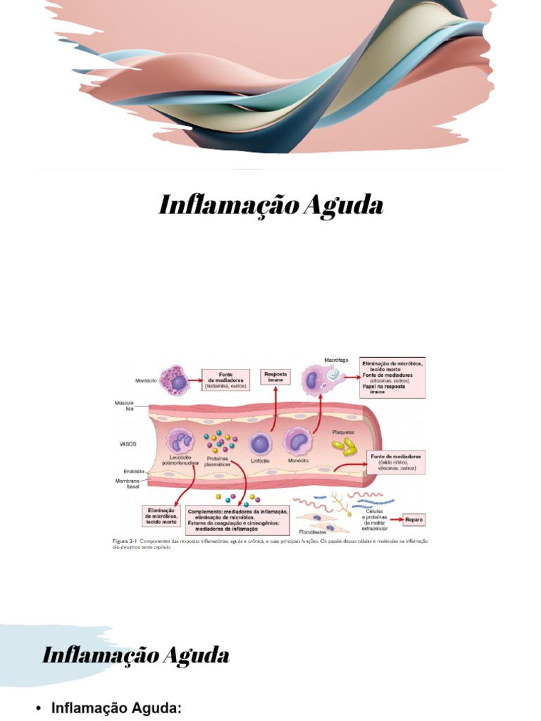 Aula 6 Inflamação Aguda e Cronica | PDF | Inflamação | Glóbulo branco